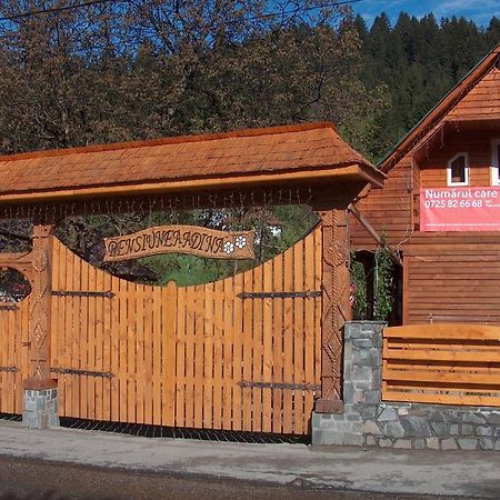 Pensiunea Adina Cavnic Exterior foto
